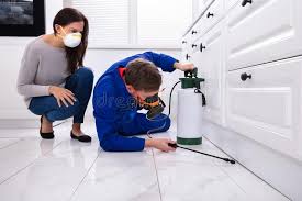 Best Fumigation Services  in Harlan, IN